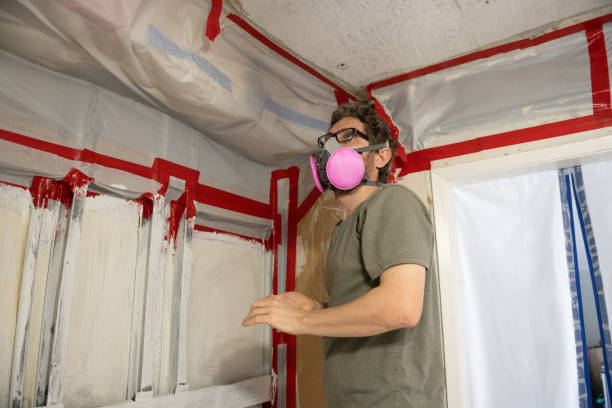 Asbestos and Lead Testing During Mold Inspection in Waltham, MA